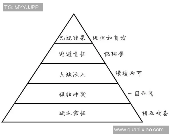 从零起步：全面解析攀岩团队协作的技巧与策略